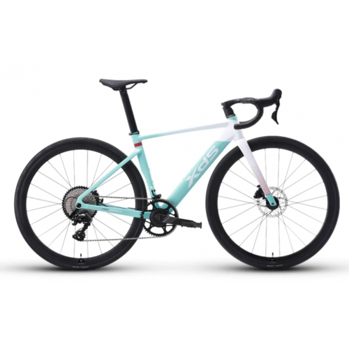 XDS AD350 油壓碟刹內走線12速公路車